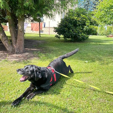 Ferienwohnung Wanderglueck Rathmannsdorf Zewnętrze zdjęcie
